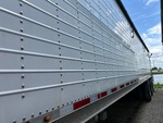 General Appearance with Paint