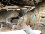 Underbody with