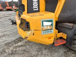 General Appearance with Paint