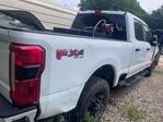 Picture, Right Rear Corner