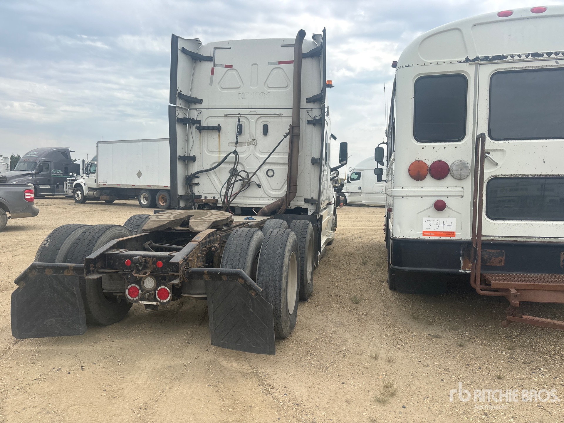 2020 Freightliner CASCADIA 126