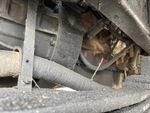Motor with