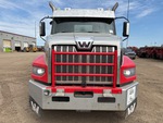 General Appearance with Paint