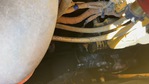 Engine with Oil Leaks