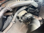 Engine with Exhaust System