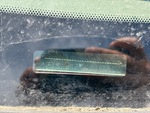 General Appearance with Frame Stamp Serial Number/VIN Photo