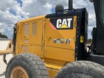 General Appearance with Paint