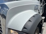 General Appearance with Pintura