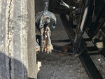 4 Underbody - Truck with
