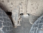 4 Underbody - Truck with