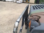 General Appearance with Paint