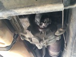 Drivetrain with Transfer Case