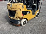 General Appearance with Paint