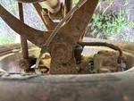 Brakes with
