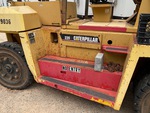 General Appearance with Paint