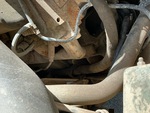 Engine with Exhaust System