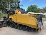 General Appearance with Paint