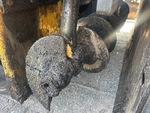 Chassis with Auger/ Screw Condition
