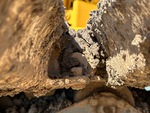 Undercarriage with Left Track Bushings