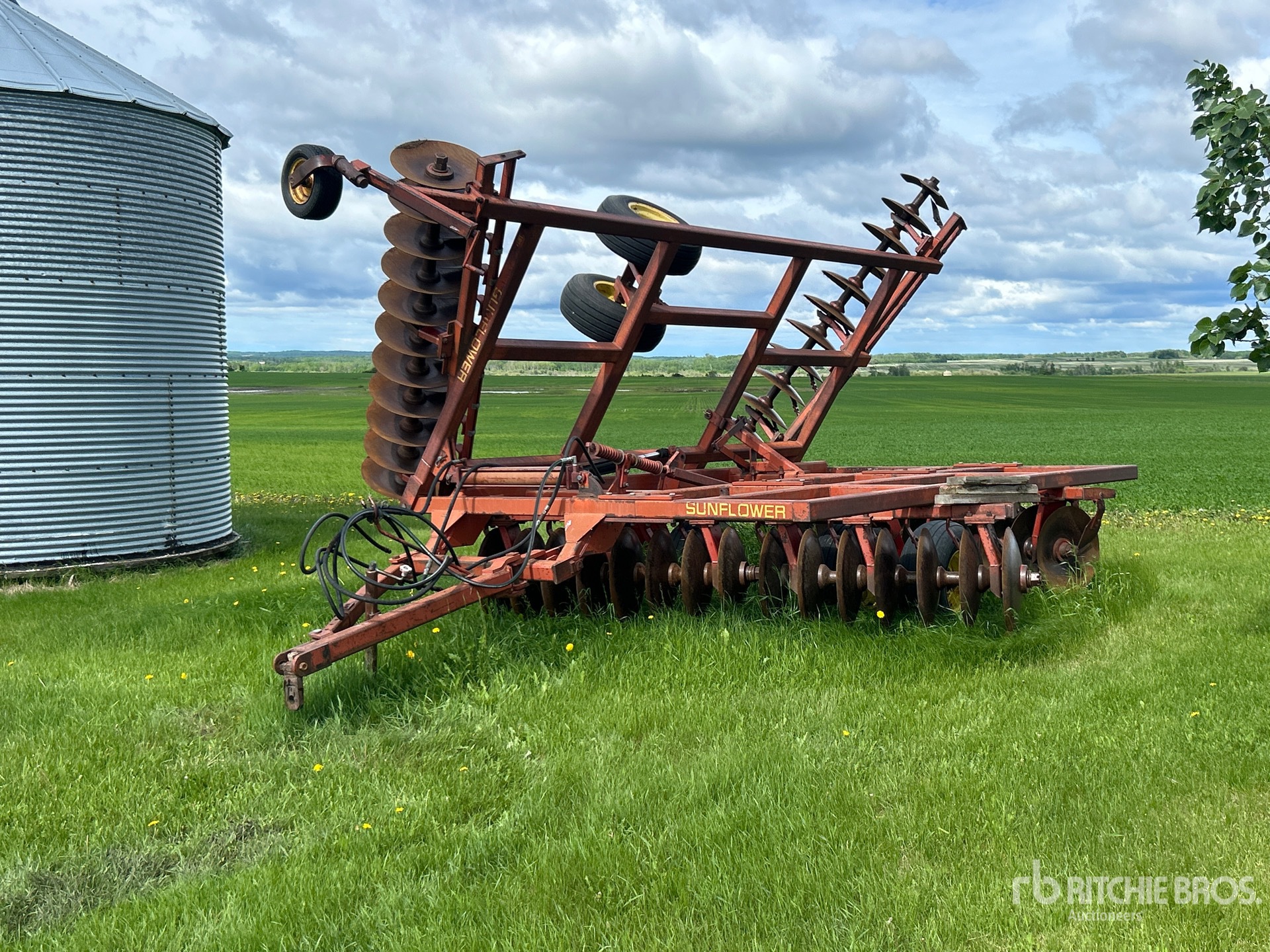 Photo of a  Sunflower 18 ft Offset