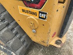 General Appearance with Paint