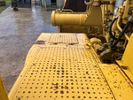 General Appearance with Paint