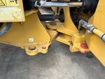 General Appearance with Paint