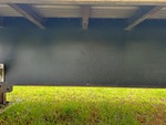 General Appearance with Pintura