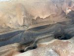 Engine with Oil Leaks