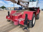 General Appearance with Paint
