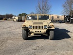 General Appearance with Paint