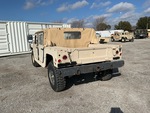 General Appearance with Paint
