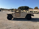 General Appearance with Paint