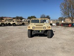 General Appearance with Paint