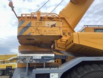 General Appearance with Paint