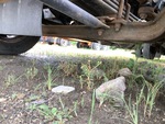 Underbody with Steer Axle