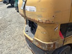 General Appearance with Paint
