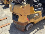 General Appearance with Paint