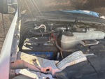 Motore with