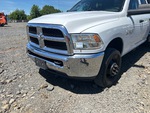 General Appearance with Pintura