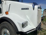 General Appearance with Pintura