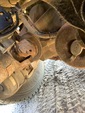 Underbody with Eje trasero