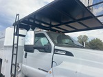 General Appearance with Glass