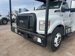 General Appearance with Paint