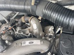Engine with Exhaust System