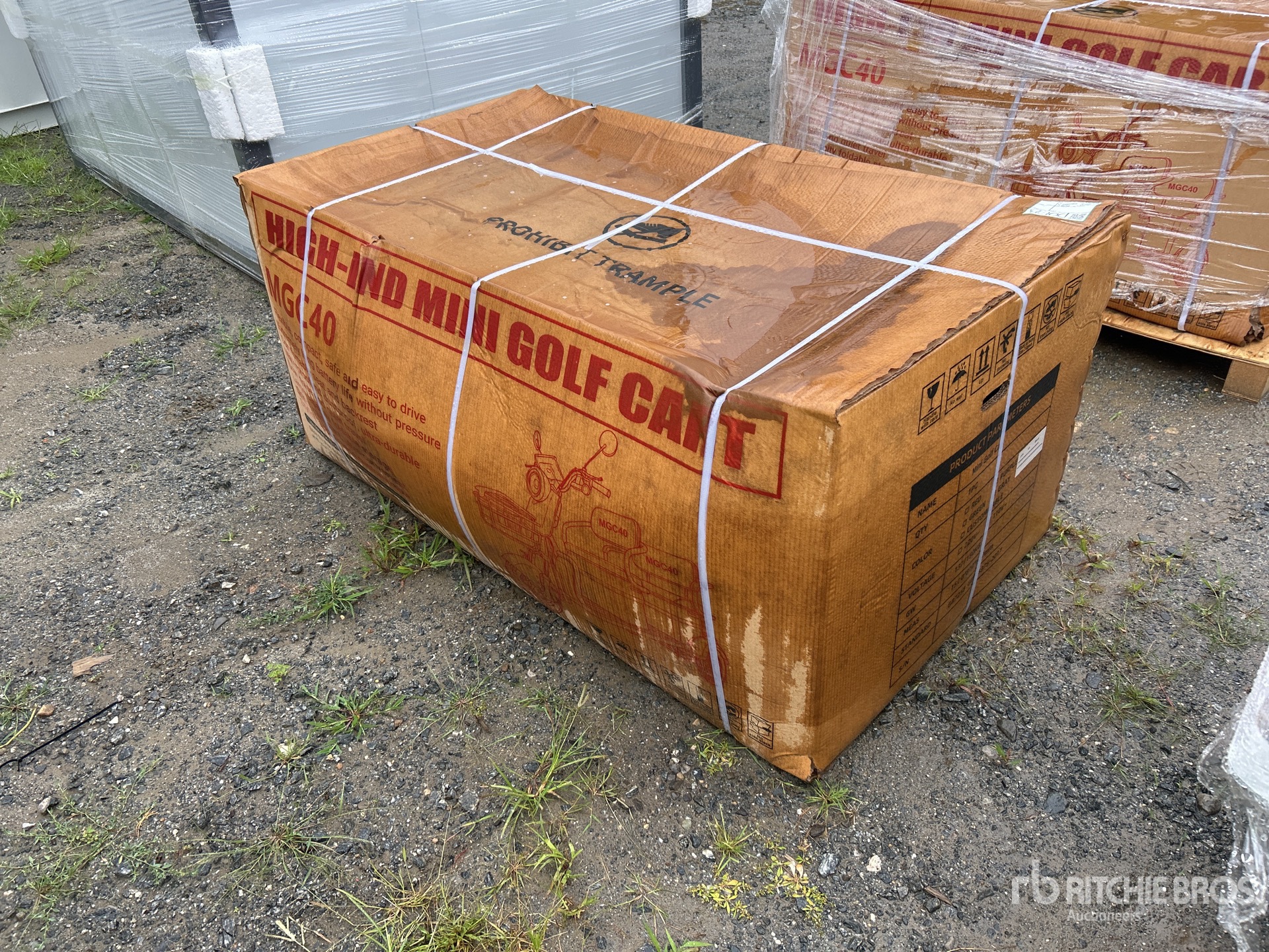 General Appearance with Picture, Right Rear Corner