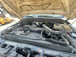 Motore with