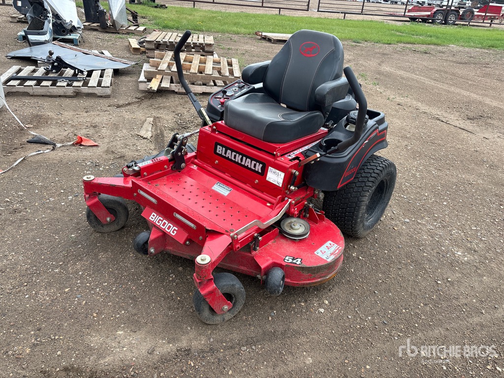 Big Dog Blackjack Zero-Turn Lawn Mower | Ritchie Bros. Auctioneers