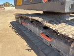 General Appearance with Steps