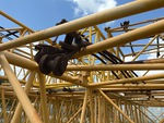 Crane Superstructure with